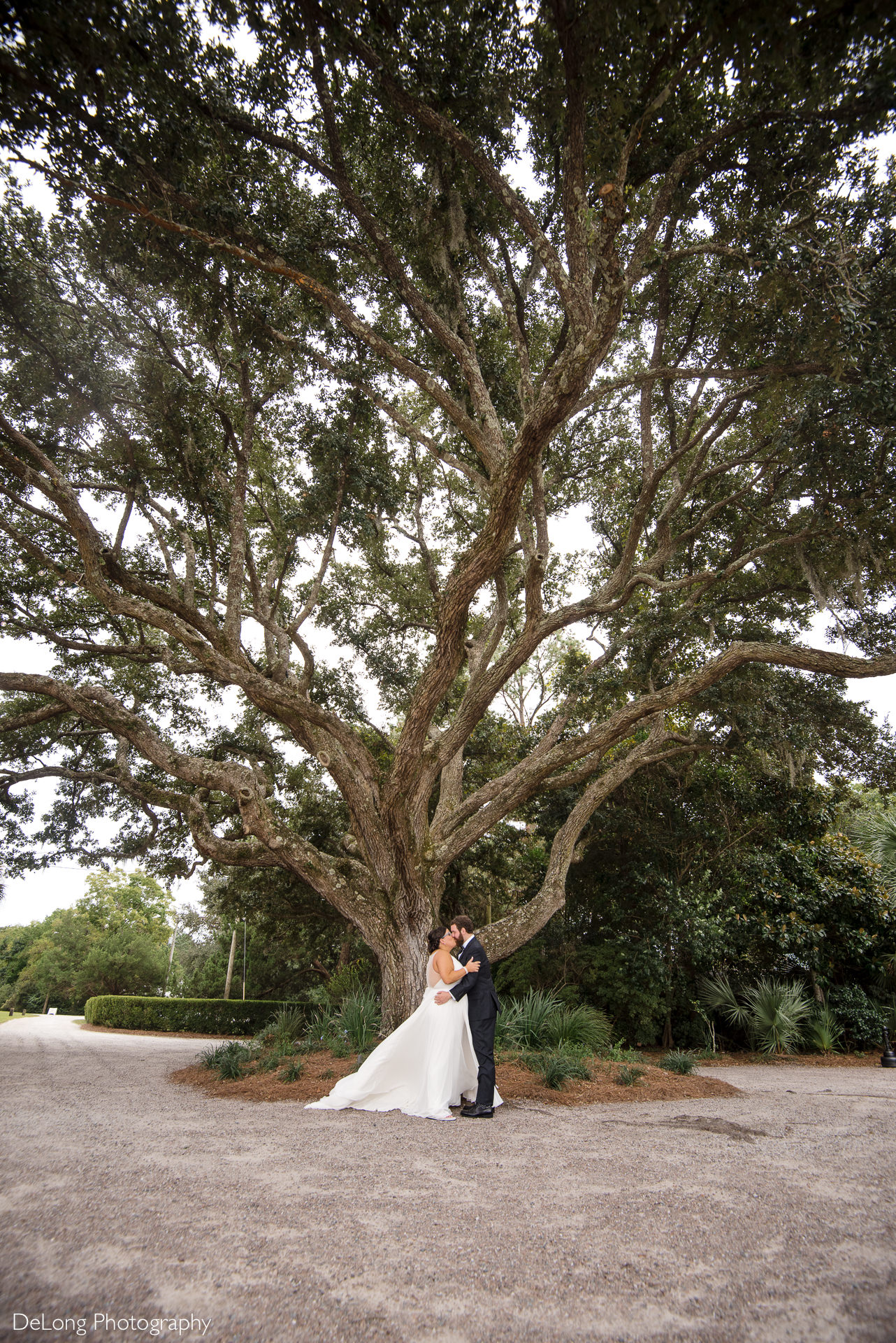 Bride and groom kissing underneath a large oak tree at the Island House in Charleston, SC by Charlotte Wedding Photographers DeLong Photography