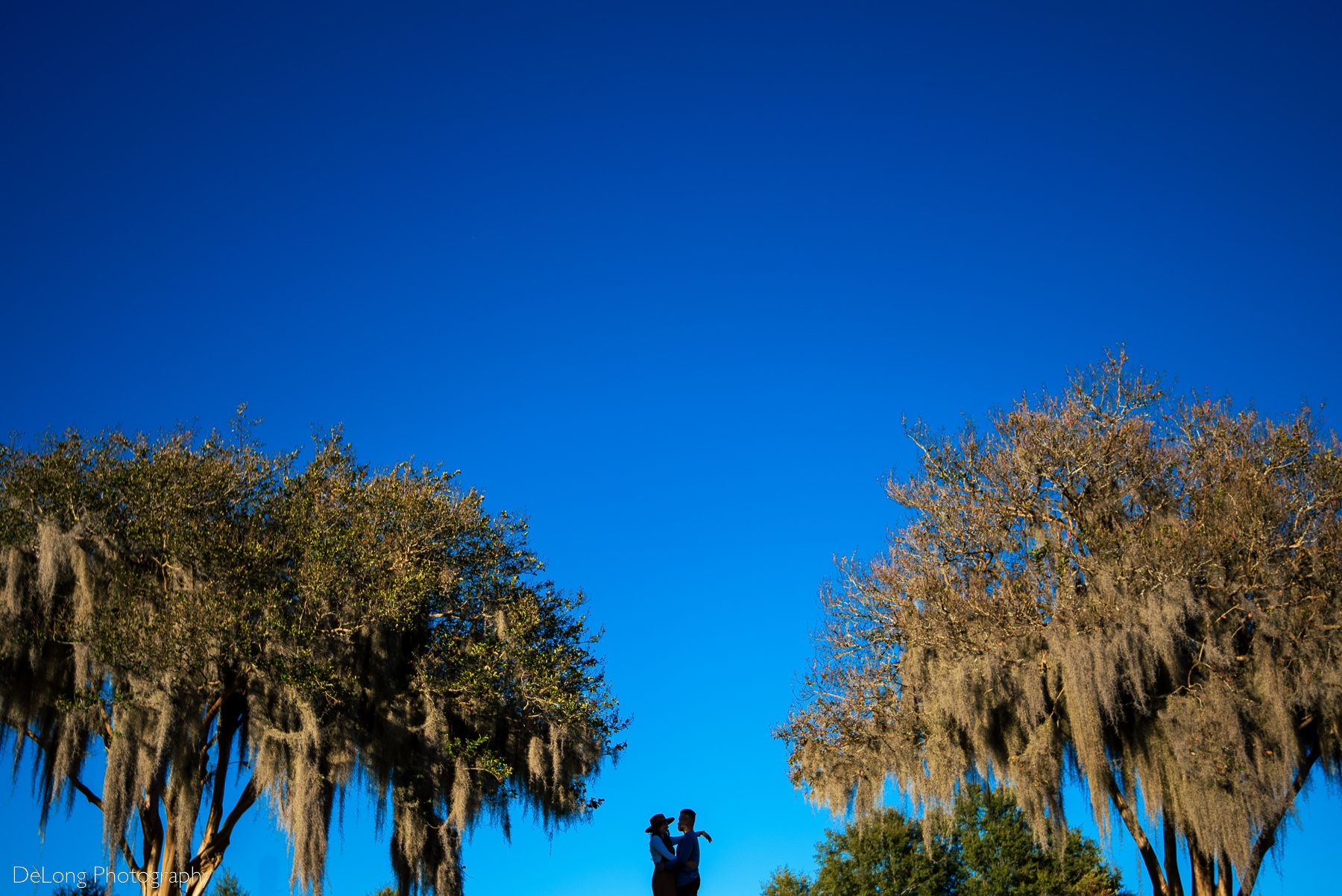 Couple silhouetted against a vibrant blue sky, symmetrically framed between two mossy trees at Riverfront Park in Columbia, SC. Photo by Charlotte wedding photographers DeLong Photography.