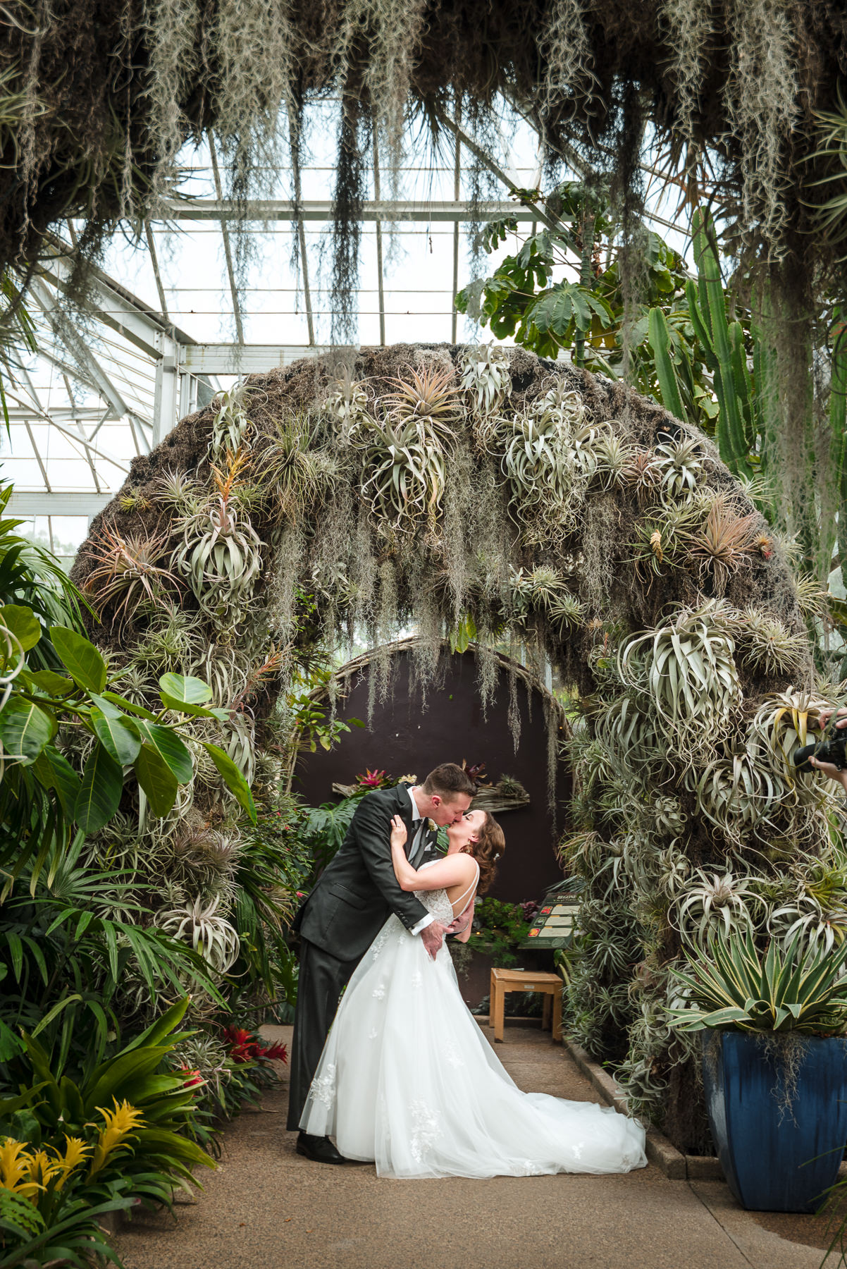 Bride and groom share a romantic kiss beneath a lush arch of Spanish moss and air plants inside the conservatory at Daniel Stowe Botanical Garden in Belmont, NC. Captured during a spring wedding near Charlotte, North Carolina, this botanical garden wedding photo highlights the tropical greenery and elegant indoor garden setting.