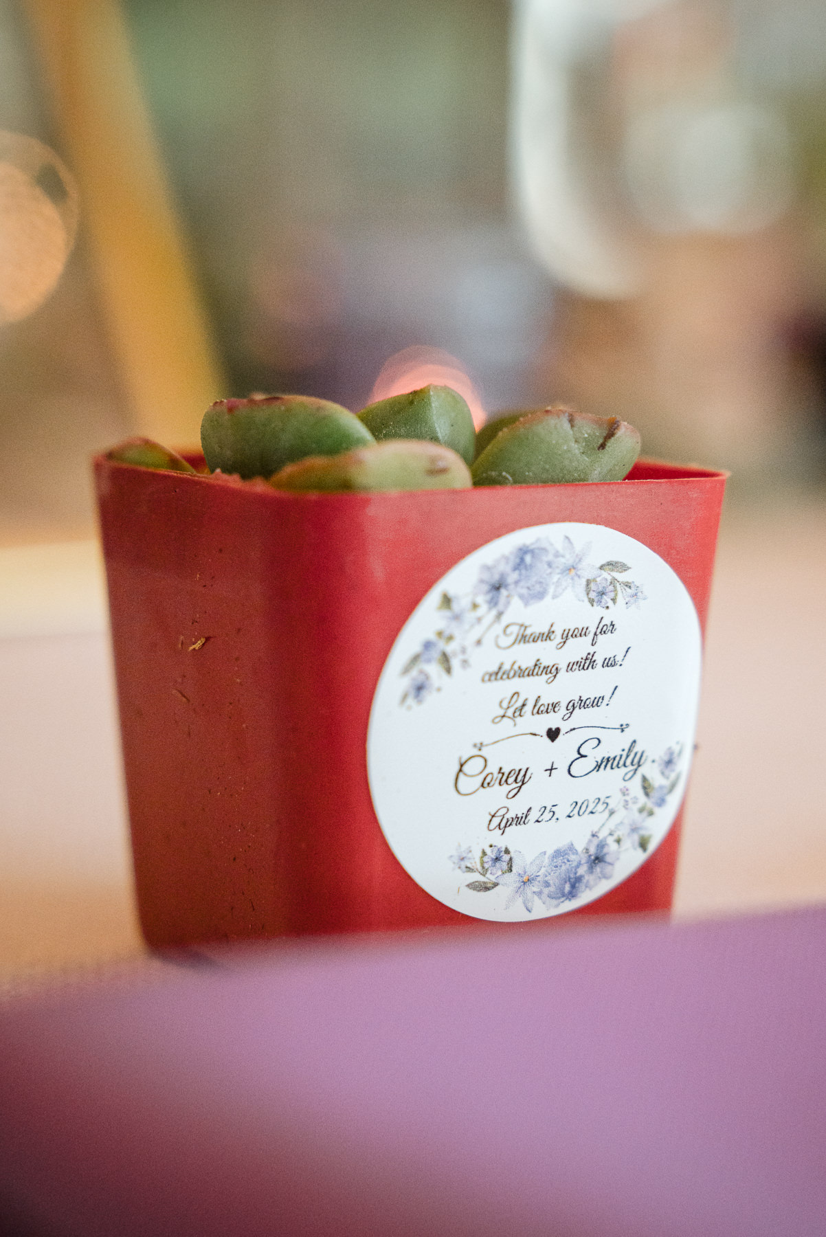 Close-up of a succulent wedding favor in a red pot with a personalized thank-you label at a spring wedding at Daniel Stowe Botanical Garden in Belmont, NC. Captured by DeLong Photography, this elegant Charlotte-area garden wedding detail features custom botanical-themed decor celebrating the couple’s special day.