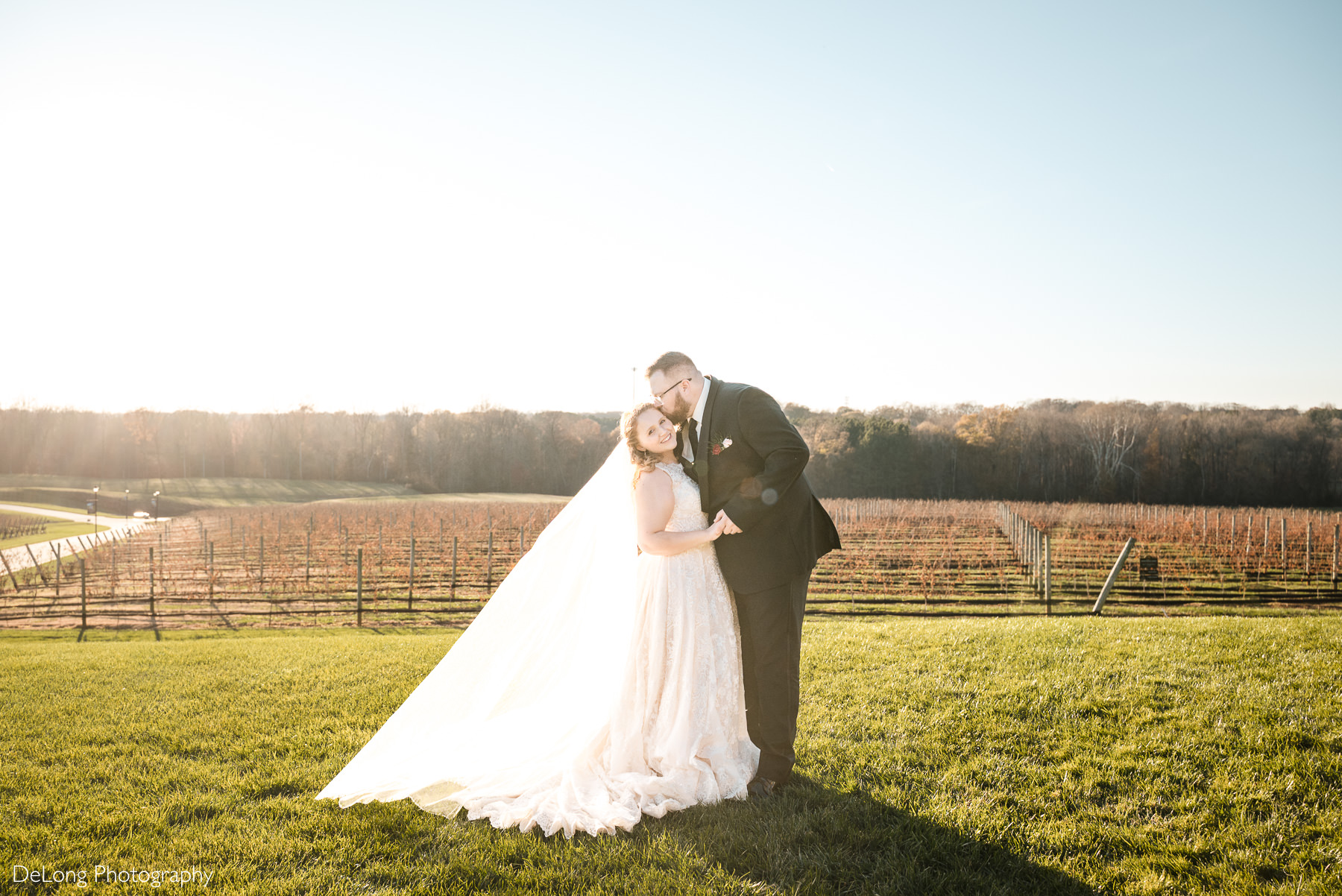 Bride and groom embracing in the vineyards during golden hour at Childress Vineyards in Lexington, North Carolina.
